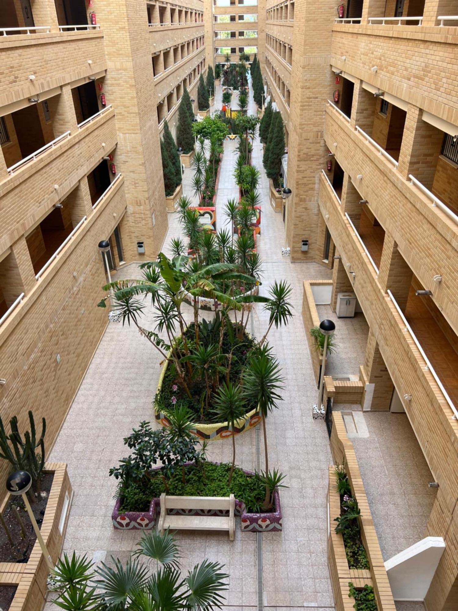 Apartamento Oropesa Marinador Oropesa del Mar Exteriör bild